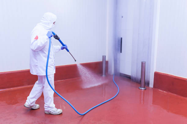 Best Roof Washing  in North Haledon, NJ